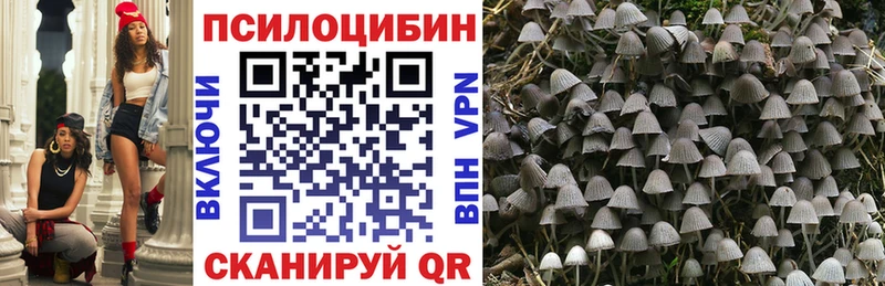Галлюциногенные грибы ЛСД  наркотики  Всеволожск 